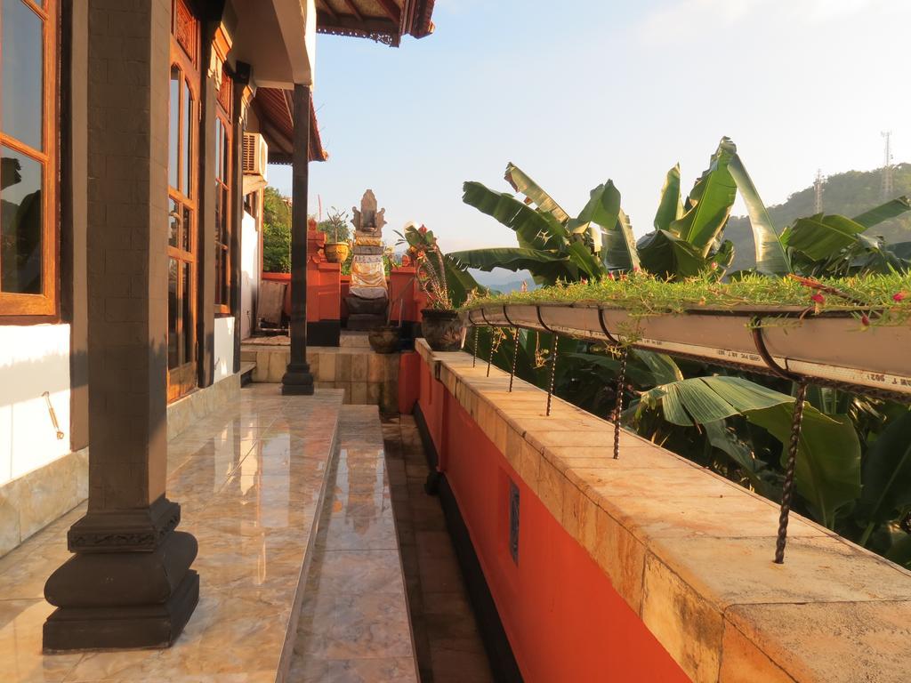 Hostel Lemon House
