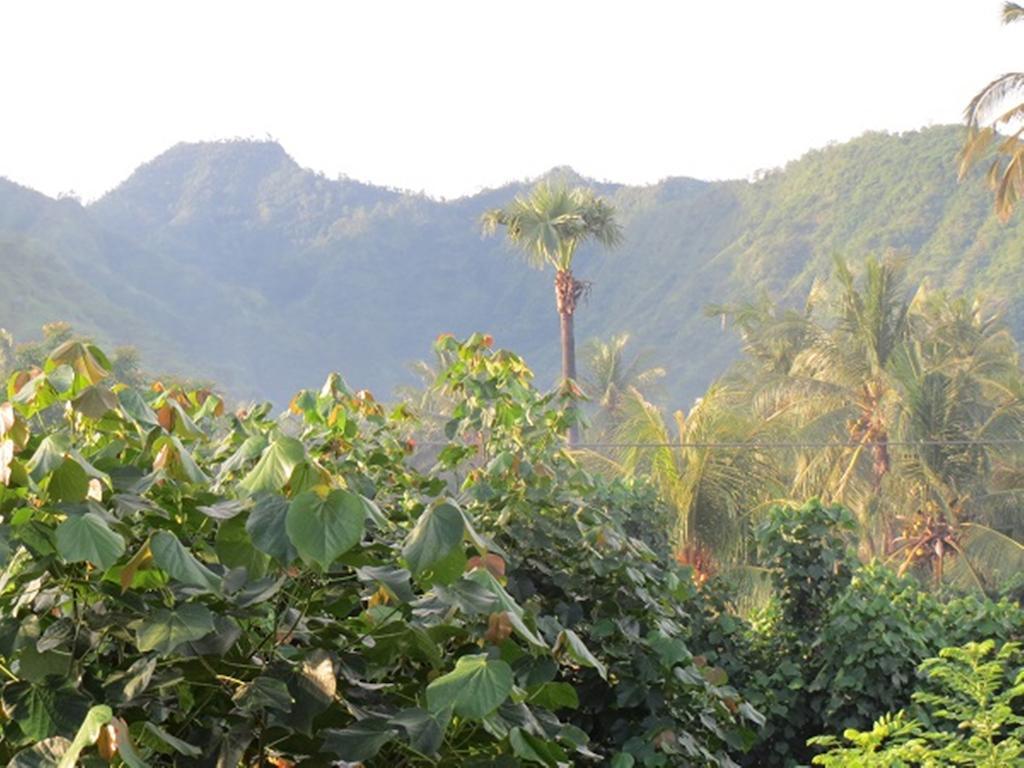 Homestay Bali Sari