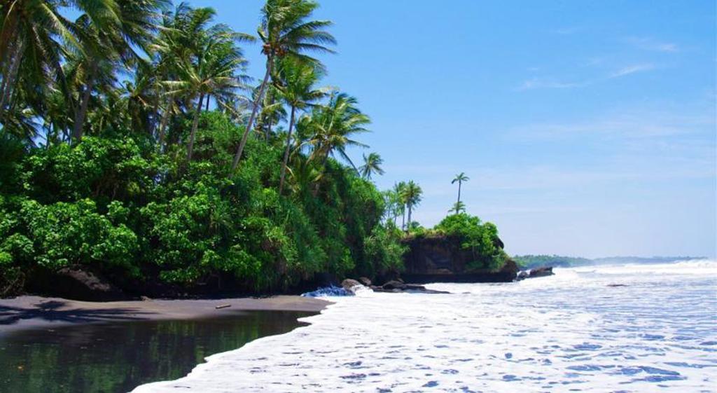 Rumah Pantai Bali Guest house Selemadeg (Bali)
