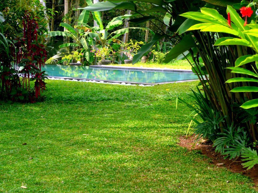 Viola Villa Ubud (Bali)