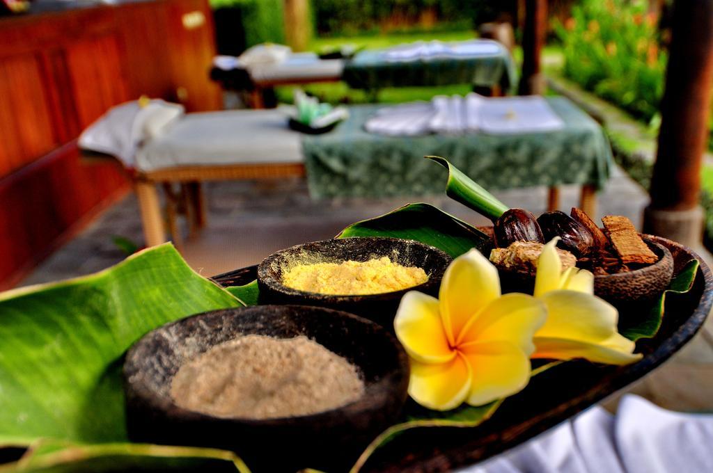 Hotel Villa Ubud Ubud (Bali)