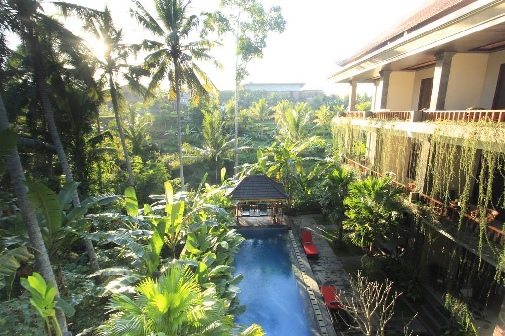 Alam Terrace Ubud (Bali)