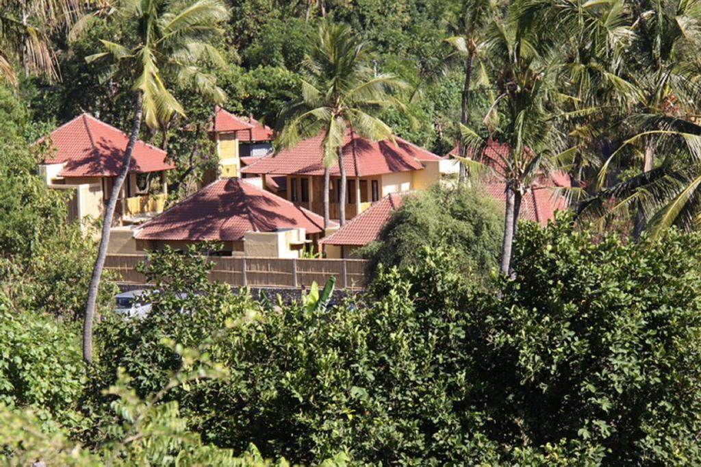 Petit Boo Guest house 3*