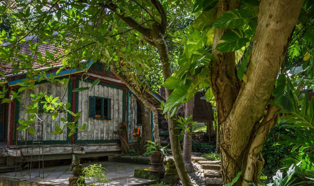 Taman Nauli Boutique Hotel Canggu (Bali)