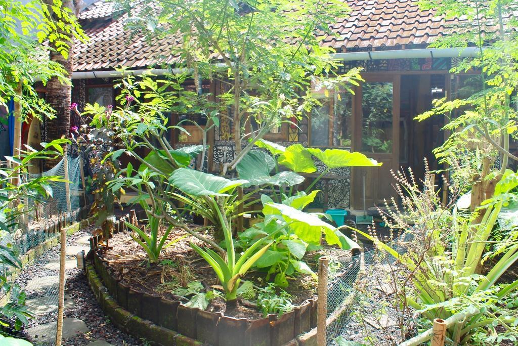 Hostel Farmer's Yard Canggu (Bali)