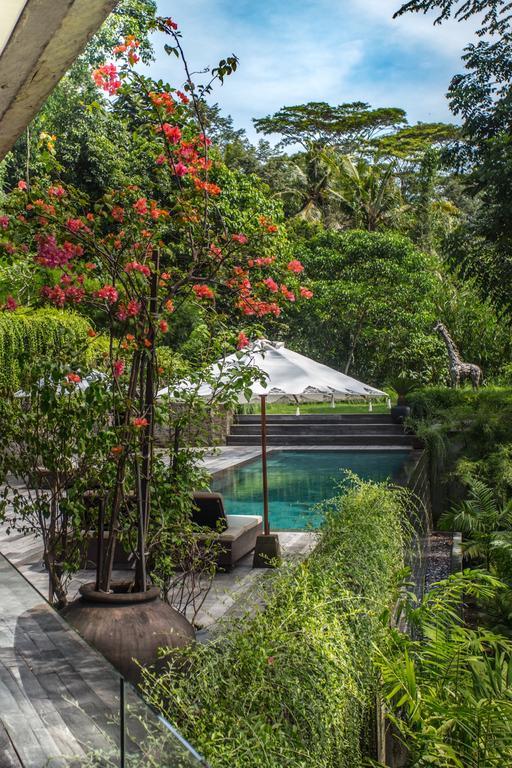 Chameleon Bali Villa *