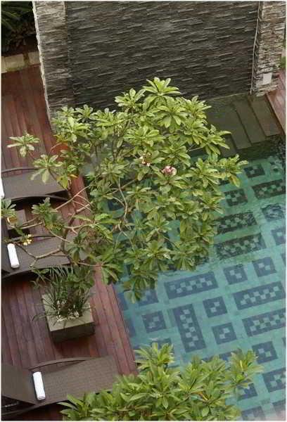 Hotel D'primahotel