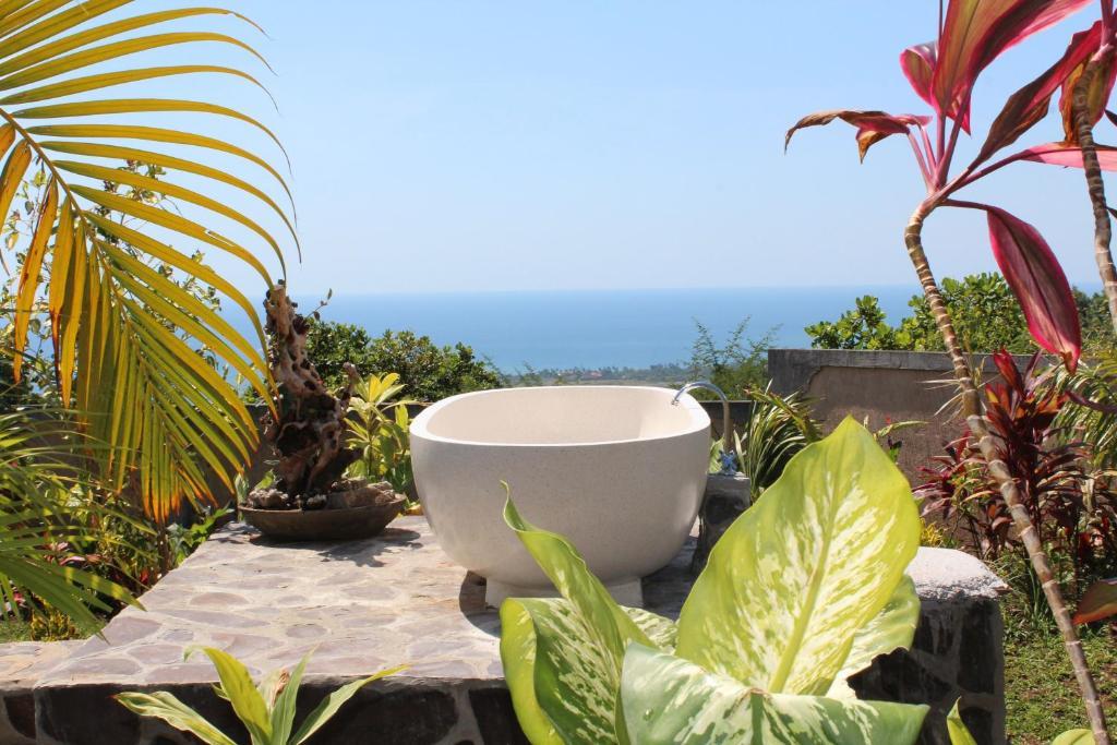 The Hamsa Lovina (Bali)