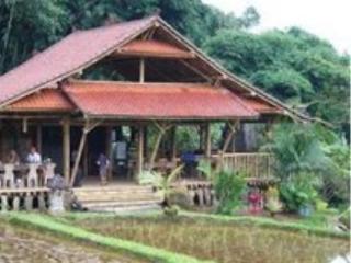 Resort Prana Dewi Mountain