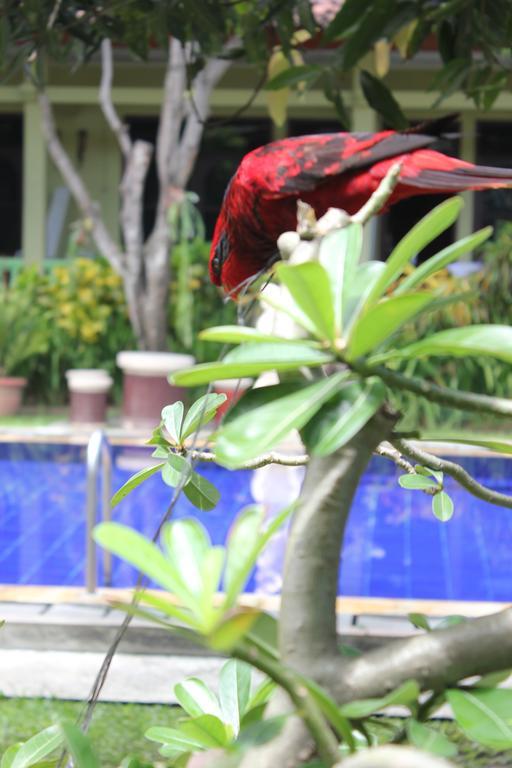 Puri Nusantara Hotel 3*