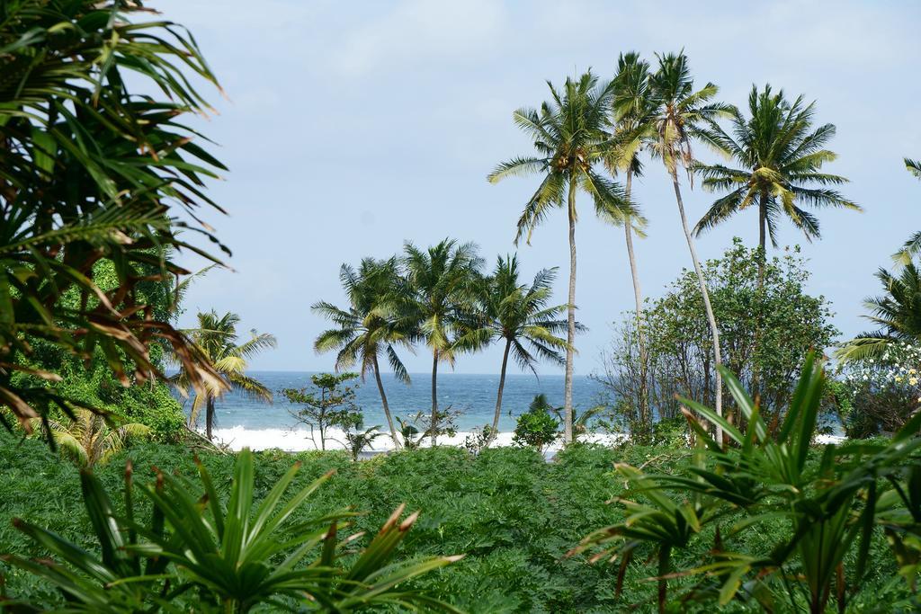 Puri Angsa Saba