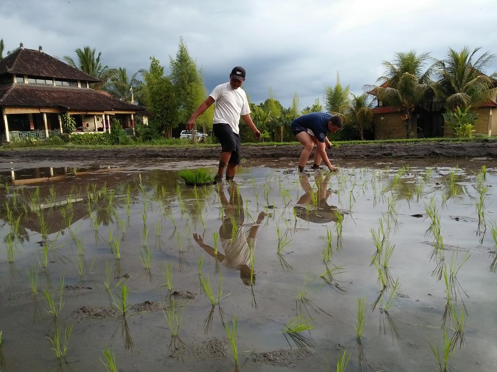 Atres Munduk (Bali)