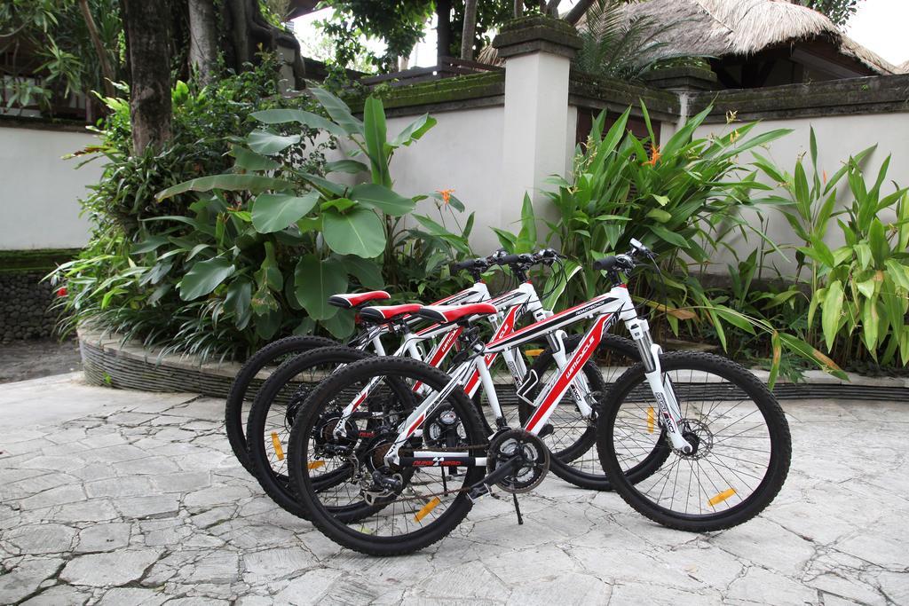Tamu Seseh * Canggu (Bali)