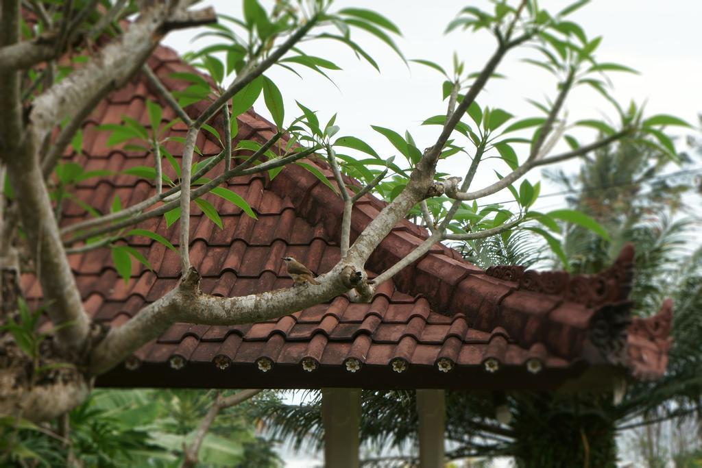 Puri Angsa Saba *