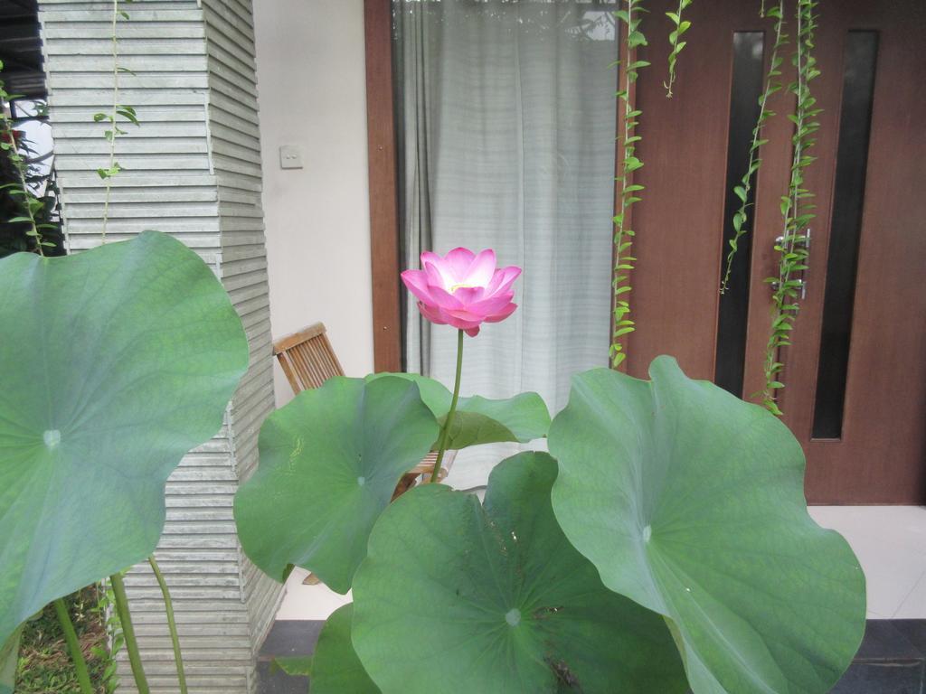 Rika Guest house