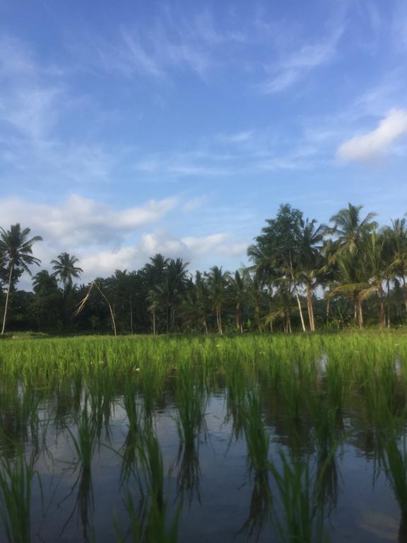 Homestay Umah Nik Kepitu Gianyar (Bali)
