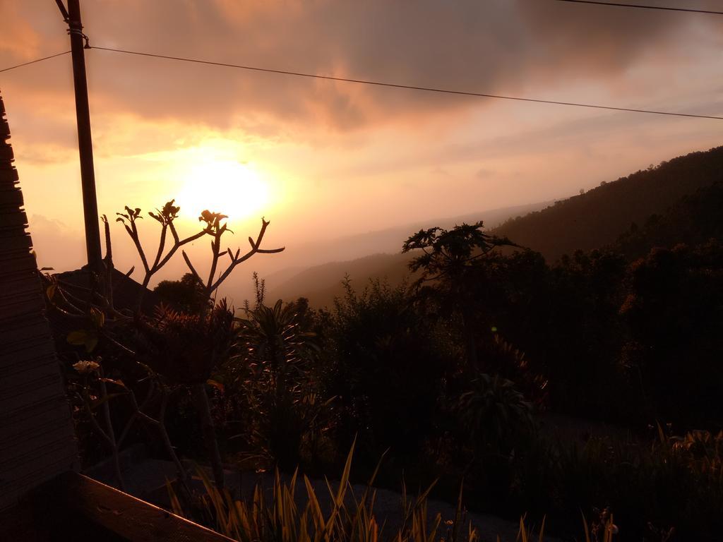 Homestay Puri Sunset Munduk (Bali)