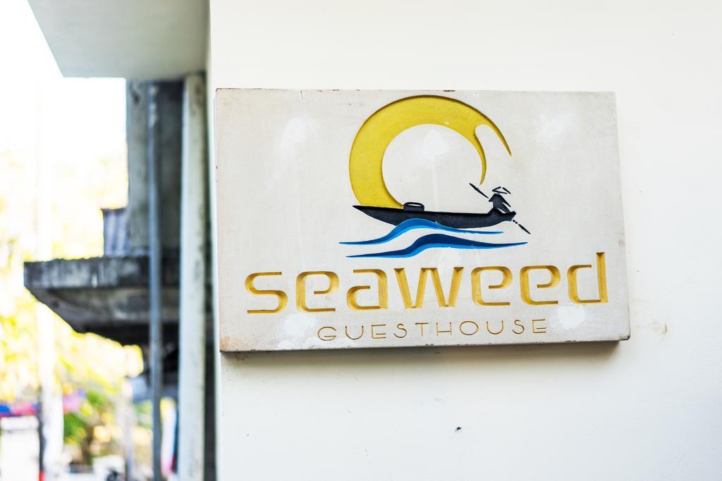 Seaweed Guest house 3*