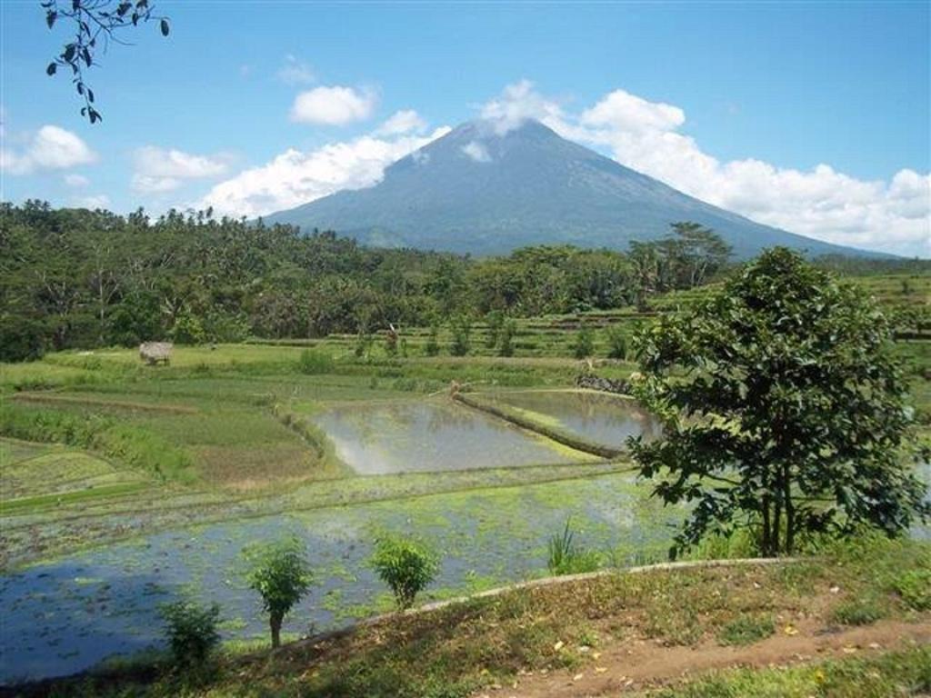 Bukit Asri