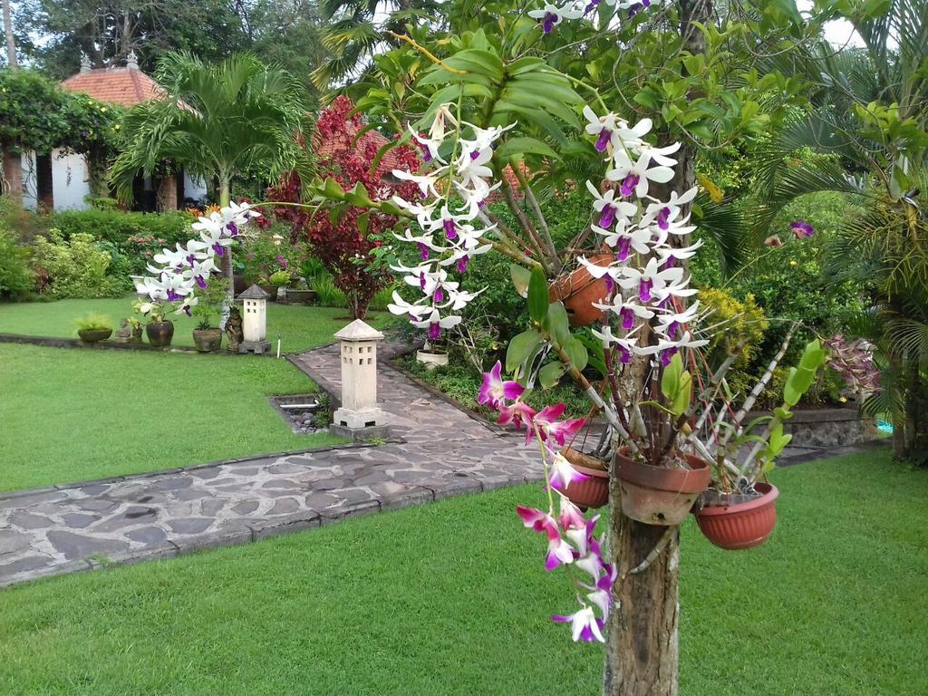 Bukit Asri Guest house