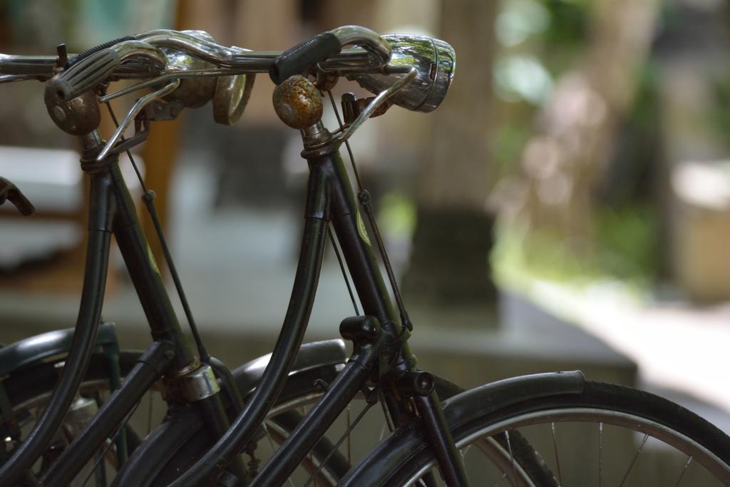 Griya Sriwedari Guest house Ubud (Bali)