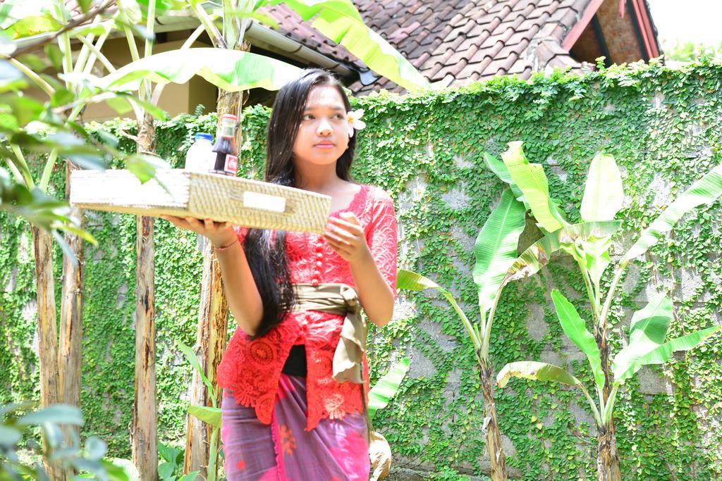Griya Sriwedari Guest house Ubud (Bali)