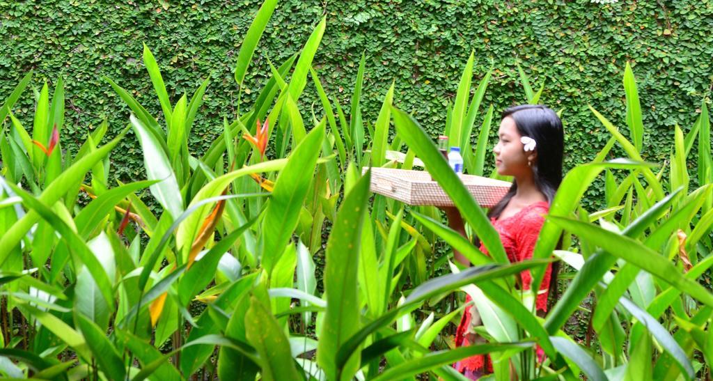 Griya Sriwedari Ubud (Bali)