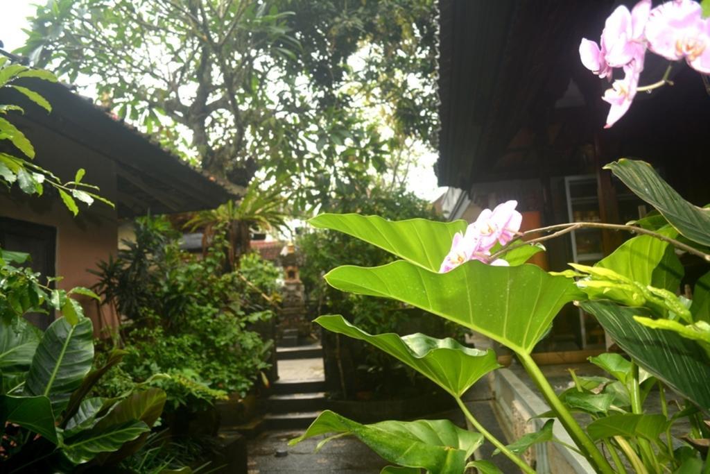 Guest house Manik House