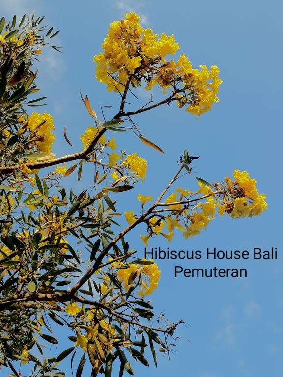 Hibiscus House Bali Guest house Pemuteran (Bali)