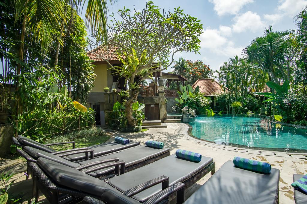 Sonia Wisma tamu 4*