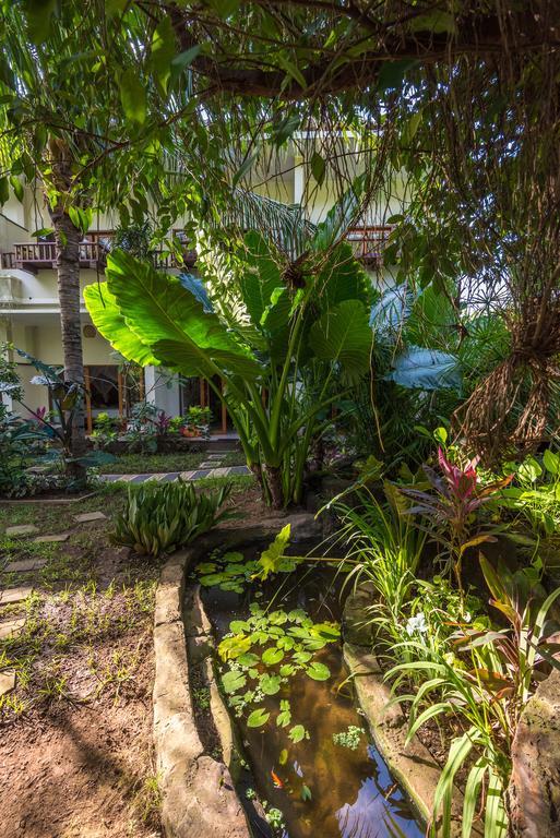 Guest house Arjuna 3*