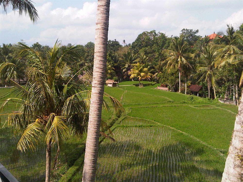 Villa Motama Ubud (Bali)
