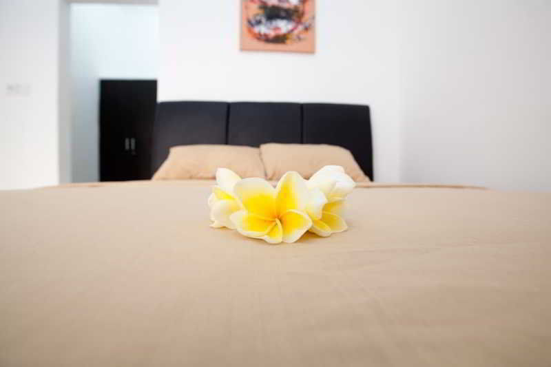 Guest house Point 2*