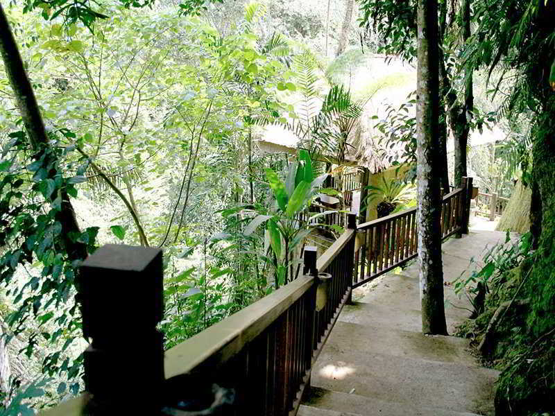 Natura Bali *