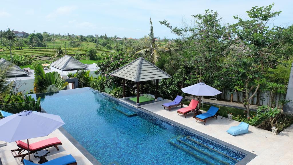 Umah Cincin Canggu (Bali)