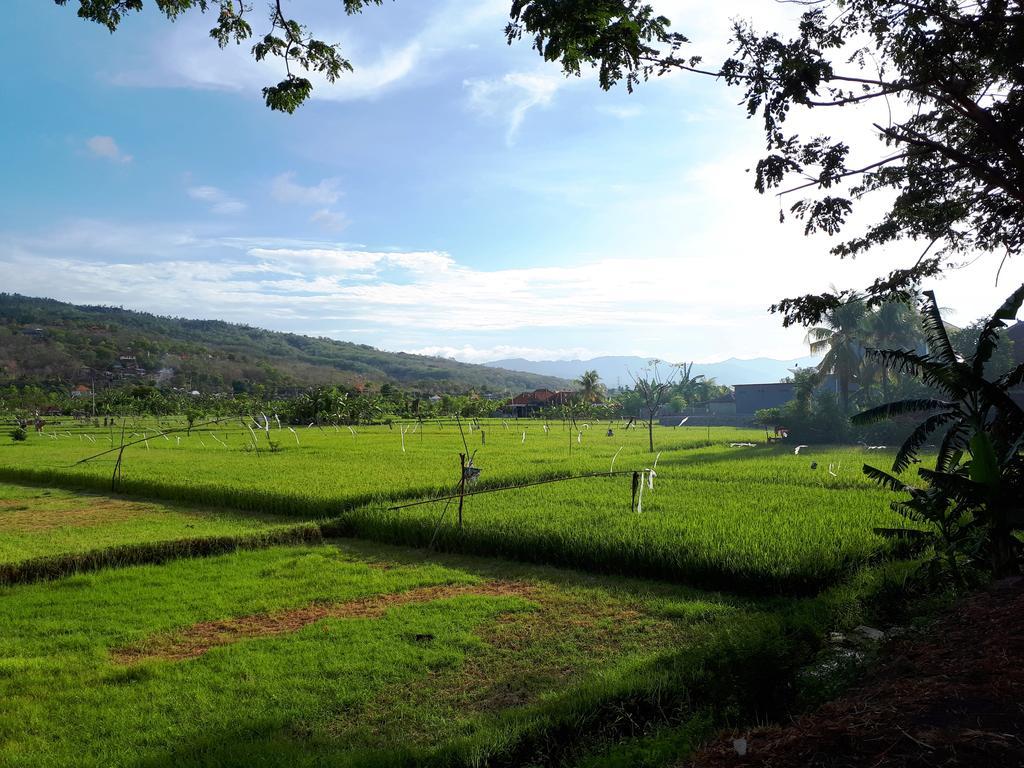 Homestay Gede Lovina (Bali)