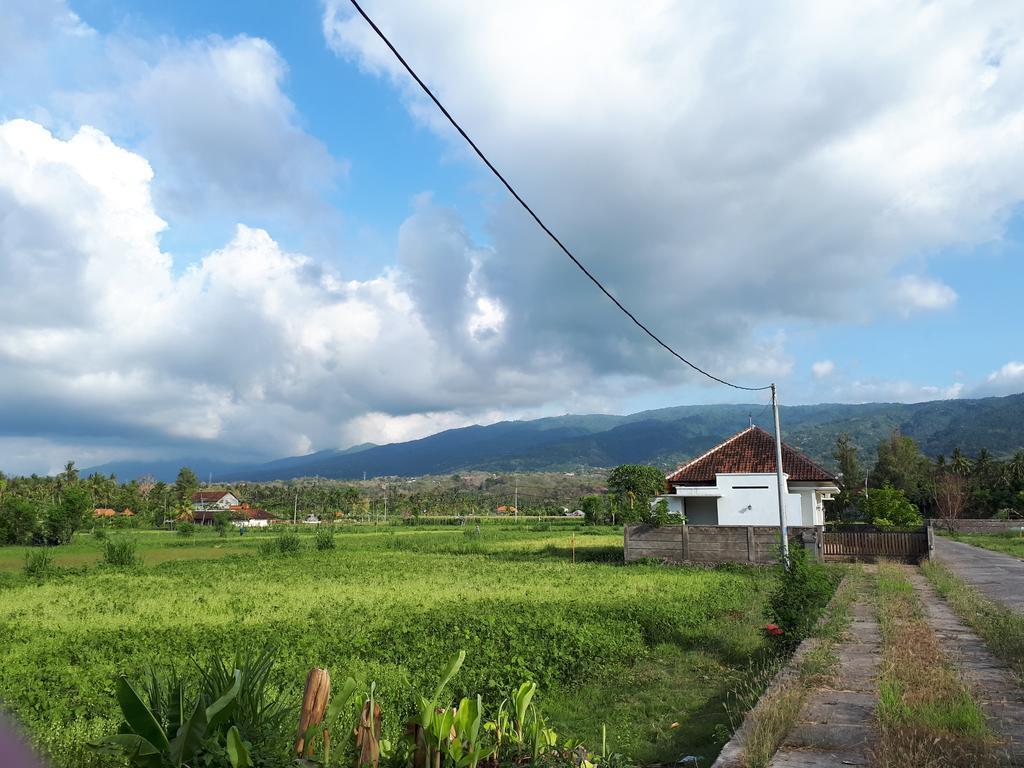 Gede * Lovina (Bali)