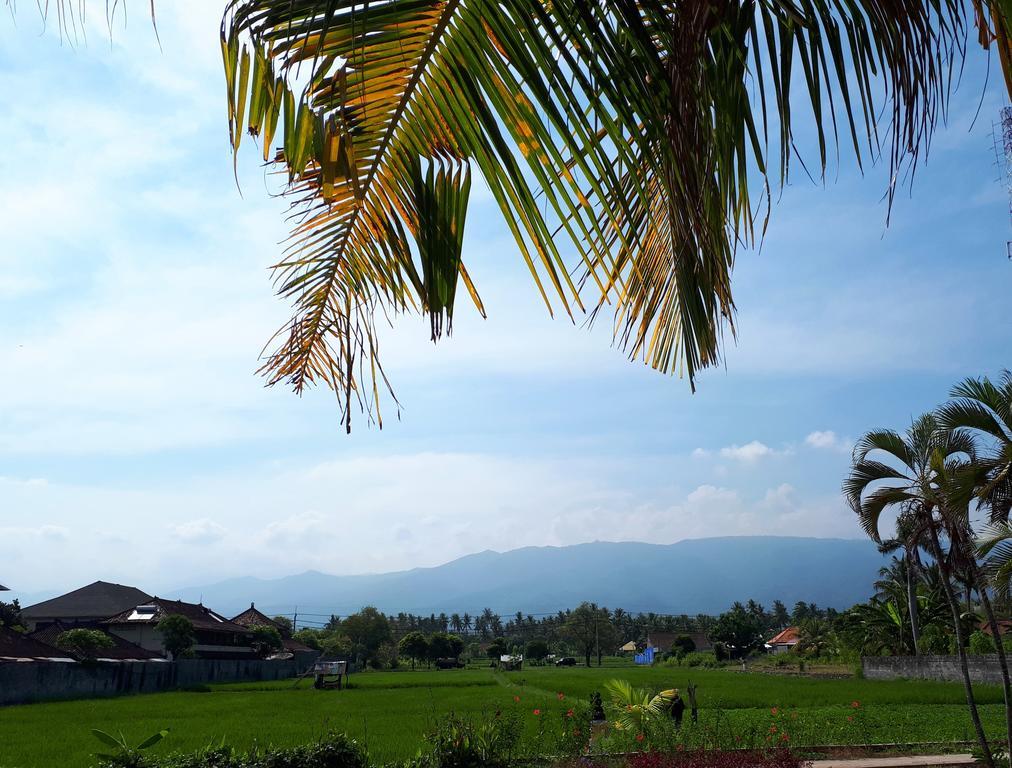 Gede * Lovina (Bali)