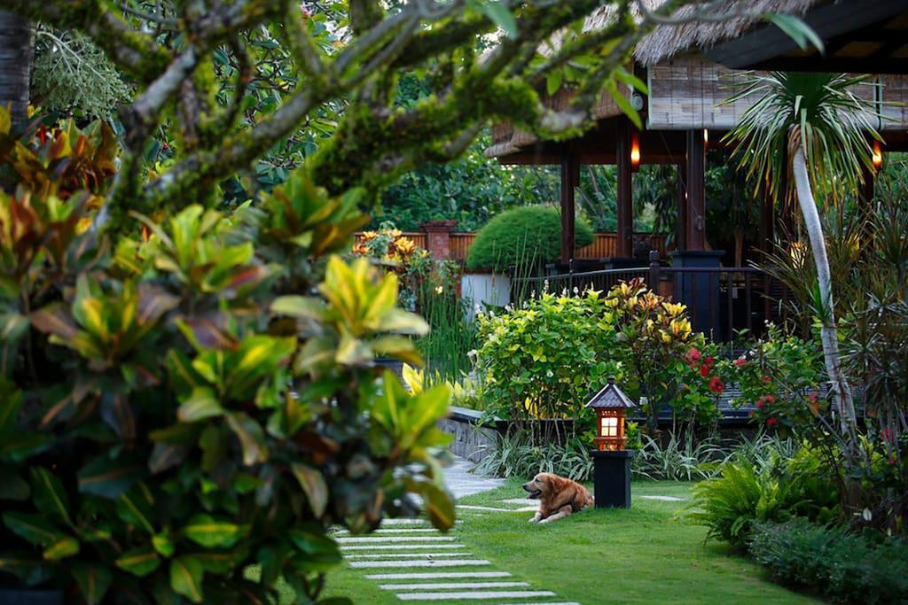 L'orange Bali *