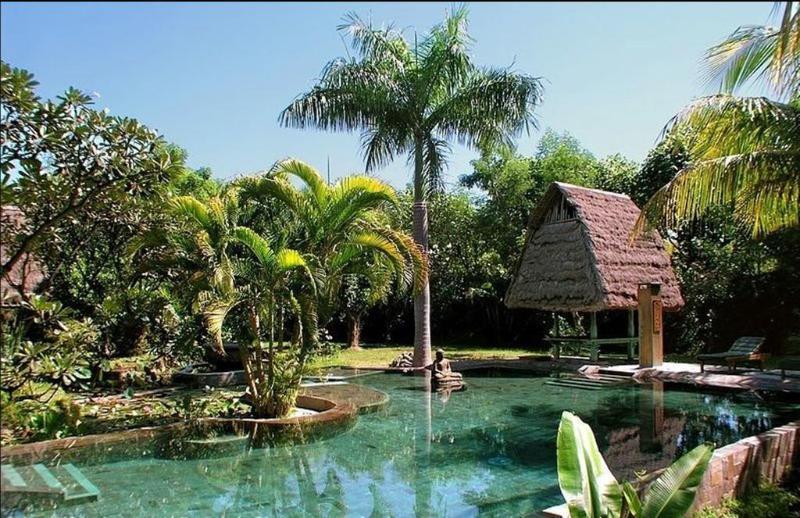 Sari Pemuteran (Bali)