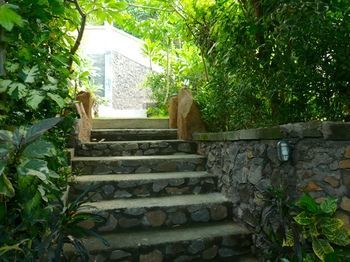 Bed & Breakfast Rumah Wayans Lipah Amed (Bali)