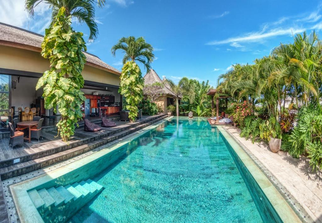 Lautan Kupu - Kupu Kuta (Bali)