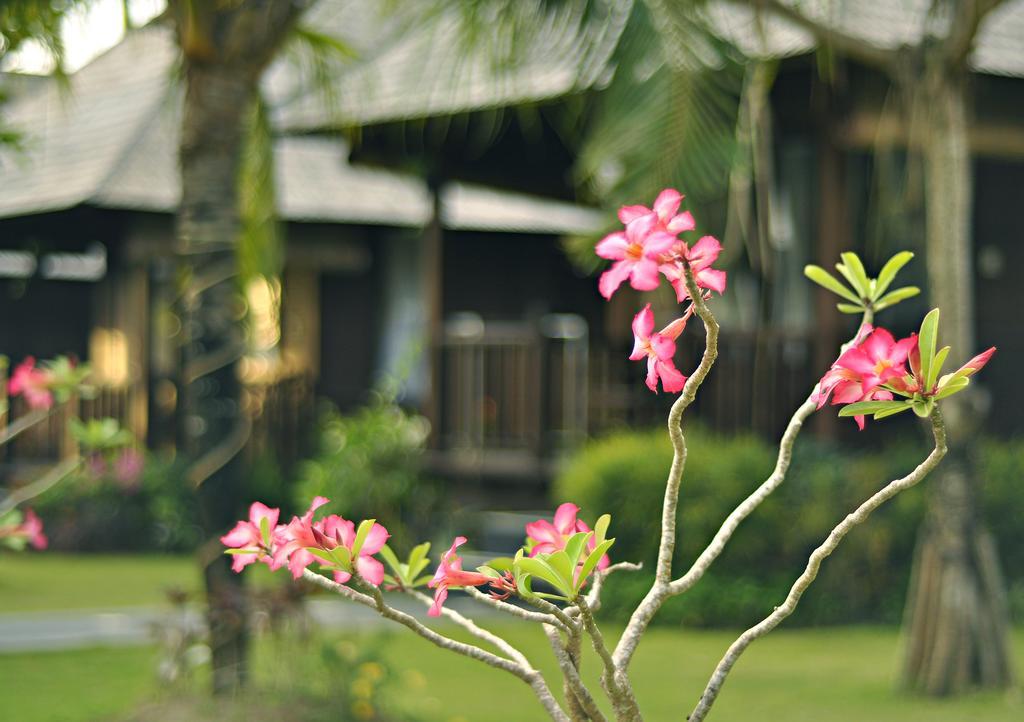 Aman Gati Balangan 3* Pecatu (Bali)