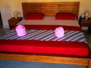 Backpacker Hotel Tulamben (Bali)