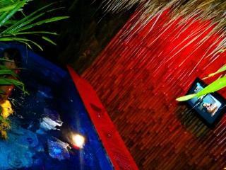 Backpacker Hotel Tulamben (Bali)