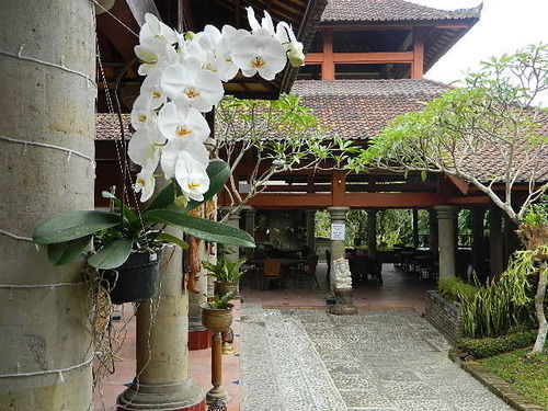 Puri Padi Ubud (Bali)