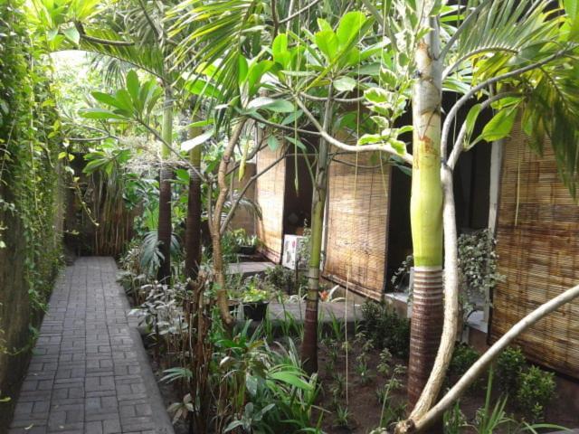 Solaluna Guest house Amed (Bali)
