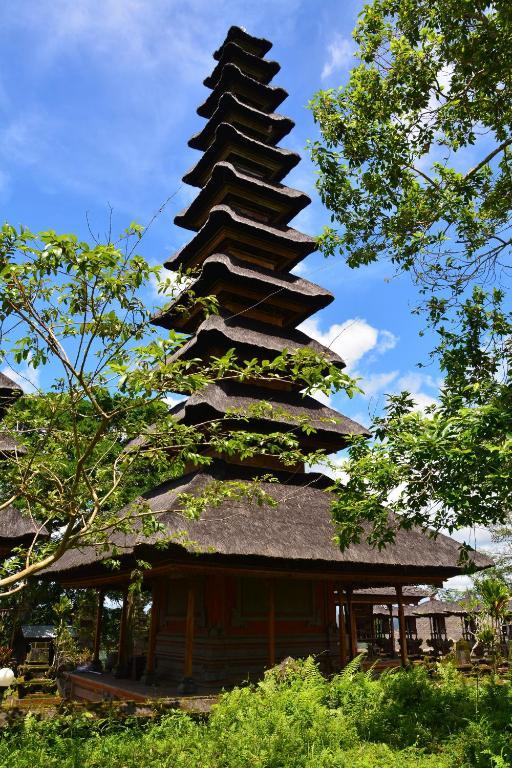 Guest house Arta Nadi 3*