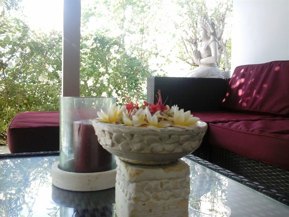 Baliku Dive Holiday park Amed (Bali)
