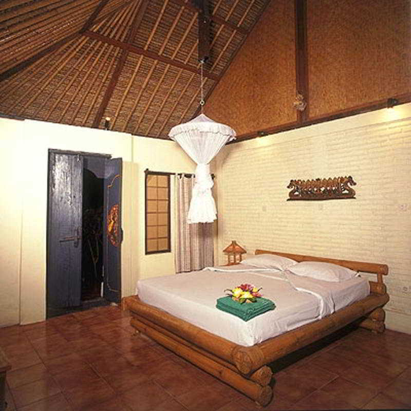 Sari 3* Pemuteran (Bali)